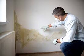 Mold Removal for HVAC Installations in Santa Monica, CA